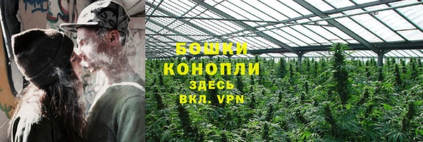 стаф Бабаево