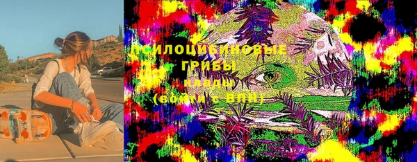 не бодяженный Надым