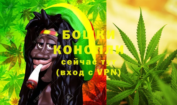 хмурый Нея